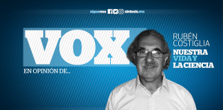 Primavera silenciosa