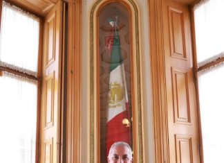 Reconocen a Pachuca como Ciudad Árbol del Mundo 2022