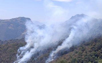 Activan protocolos de emergencia por incendio forestal en Tlahuiltepa