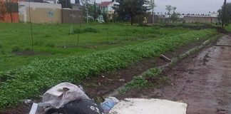 Los desechos fueron tirados en un dren pluvial