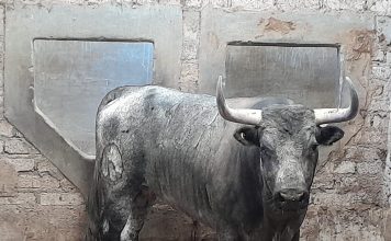 Se soltarán un total de 10 toros