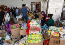 Incorporarán productos de la dieta local en despensas para damnificados