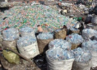 Acopian más de 100 millones de botellas de PET al año en Hidalgo