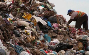 Atenderá Parque Ecológico crisis de manejo de residuos en Hidalgo: Semarnat