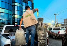 Asegura Profepa cargamento de musgo y heno en Almoloya