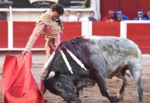 Busca Partido Verde Ecologista destrabar iniciativa contra tauromaquia