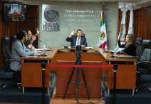 Frena Tribunal Electoral arresto para Zorayda Robles