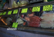 Vigilará Profeco precios y básculas en venta de mariscos por inicio de cuaresma