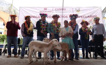 Comienza este lunes registro para apoyos para productores agrícolas