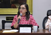 Plantean reforma para garantizar diputaciones indígena y juvenil en el Congreso