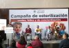 Esterilizan a 50 animales domésticos en la sede instalada en el Congreso estatal
