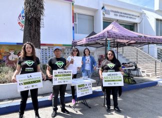 Realizan jornada de activismo en Pachuca contra maltrato animal