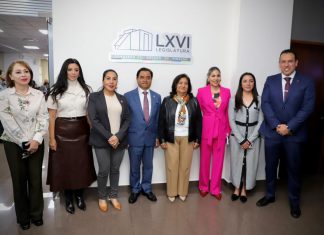 Brindarán procuradurías municipales atención oportuna a menores violentados: Edda Vite