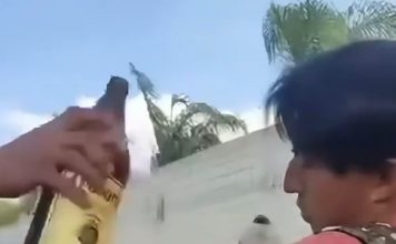 Localizan y resguardan a canino que fue forzado a ingerir alcohol en Atotonilco el Grande