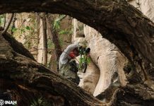 Descubre INAH pinturas rupestres en Hidalgo durante obras del tren México-Querétaro