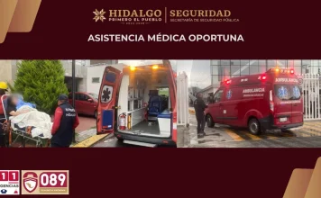 Logran que una mujer dé a luz con éxito mediante videollamada