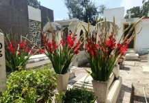 Conmemorará Tulancingo a los padres que ya partieron