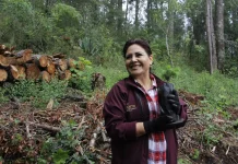 Anuncia Semarnath inversión de 10 mdp en saneamiento y restauración del Parque Nacional El Chico