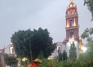 Talan cuatro ejemplares del zócalo de SPC por riesgo