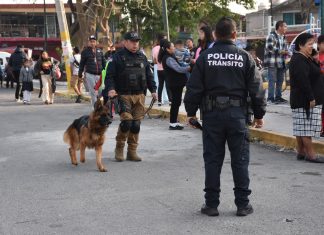 Implementa SSC dispositivo de seguridad en escuela primaria Fernando Ximello Implementa SSC dispositivo de seguridad en escuela primaria Fernando Ximello