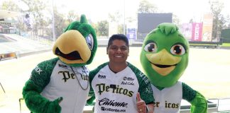 Firma Omar Muñoz convenio de colaboración con el equipo de béisbol “Pericos”