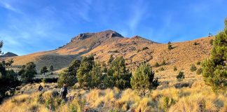 Ecoparque la Malinche se está trabajando: Armenta