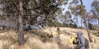 Continúa gobierno estatal trabajos de combate de incendios forestales