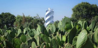 Garantizan seguridad en la Feria del Nopal 2025