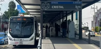 Lanzarán aplicación para combatir robos en el transporte RUTA