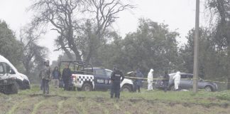 Hallan tres cuerpos sin vida en campos de cultivo de Coronango