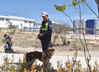 BUAP capacita a personal en manejo de organismos vivos y prevención de accidentes ofídicos