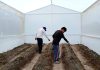 Con huertos escolares Altosano Granjas Carroll impulsa en escuelas el conocimiento y la sostenibilidad