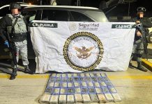 Amozoc bajo la mira: encuentran camioneta abandonada con 50 paquetes de posible droga