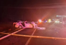 Alumno de la BUAP y tres miembros de su familia mueren en choque en la Amozoc-Perote