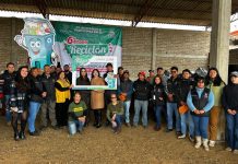 Zacatlán, municipio pionero del Reciclón; en 2025 juntará más de 35 toleradas