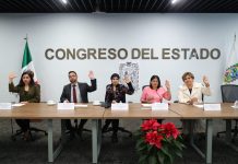 Congreso llama a no regalar mascotas en fechas festivas para evitar su abandono