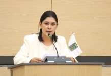 Propone Ana Lilia Tepole tipificar la rapiña como delito específico en el Código Penal de Puebla