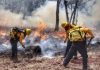 Temporada de incendios en Puebla acumula 85 incidentes