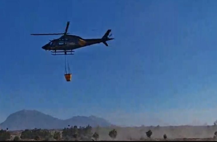 Incendio forestal en Oriental registra 90% de control y 60 de liquidación