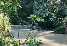 Ríos contaminados inundan al país: Naolinco, dañado desde hace dos décadas