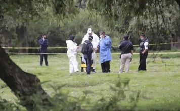 Escena de terror en Ayotoxco: hallan osamenta desmembrada y devorada