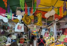 La Acocota: 61 años de resistencia, sabor y el eco de «Le Coquette»