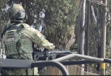 Terror en Xoxtla: abandonan cuerpos decapitados en bolsas a la orilla de la carretera