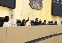 Congreso de Puebla pone freno al uso de plaguicidas tóxicos y refuerza la seguridad pública