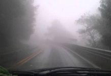 Frente Frío 23 causará fuertes vientos y lluvias en Sierras Norte, Nororiental y Negra; gobierno refuerza medidas