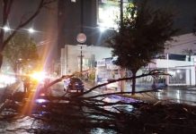 Despliegan operativos por caída de árboles y cortes de luz tras intensas lluvias en municipios poblanos