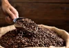 Planta del Café del Bienestar procesará 4 mil toneladas en Puebla