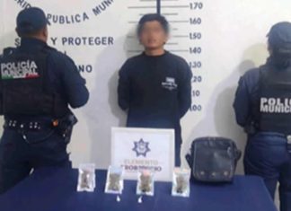 Cae presunto narcomenudista en Momoxpan