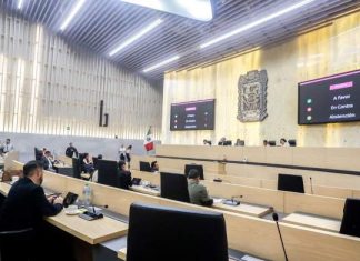 Diputados aprueban nulidad de elecciones por injerencia extranjera