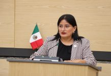 Esther Martínez propone tipificar la negligencia extrema contra animales en Puebla